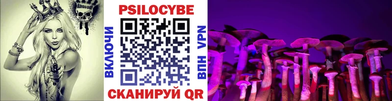 Псилоцибиновые грибы мицелий  Артёмовский 